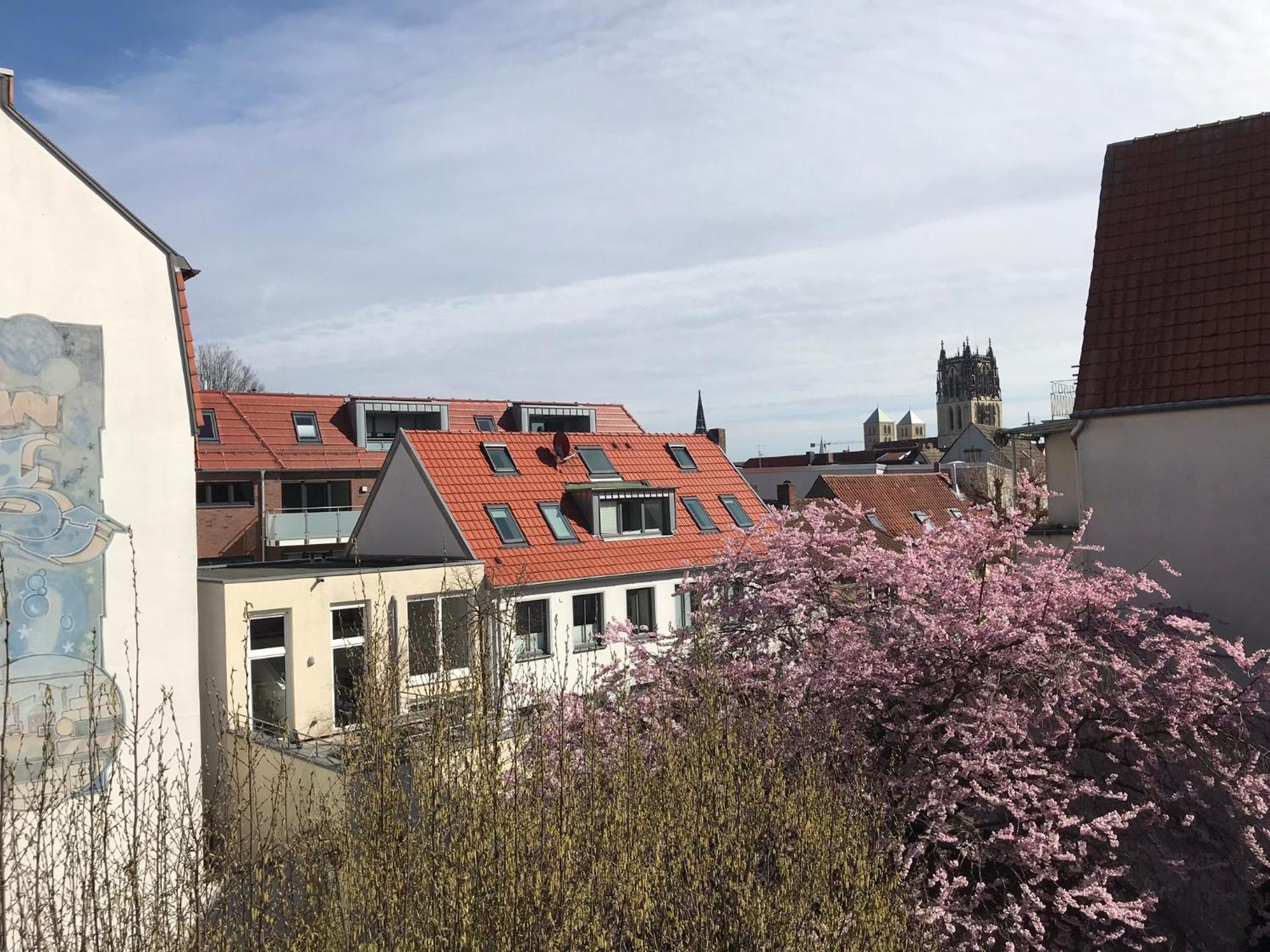 Lemperdenkmal Muenster 아파트 외부 사진